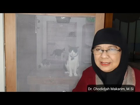 Video: Apakah definisi titik operasi?