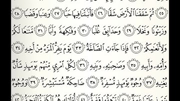 سورة عبس القارئ راشد بن أحمد الأركاني