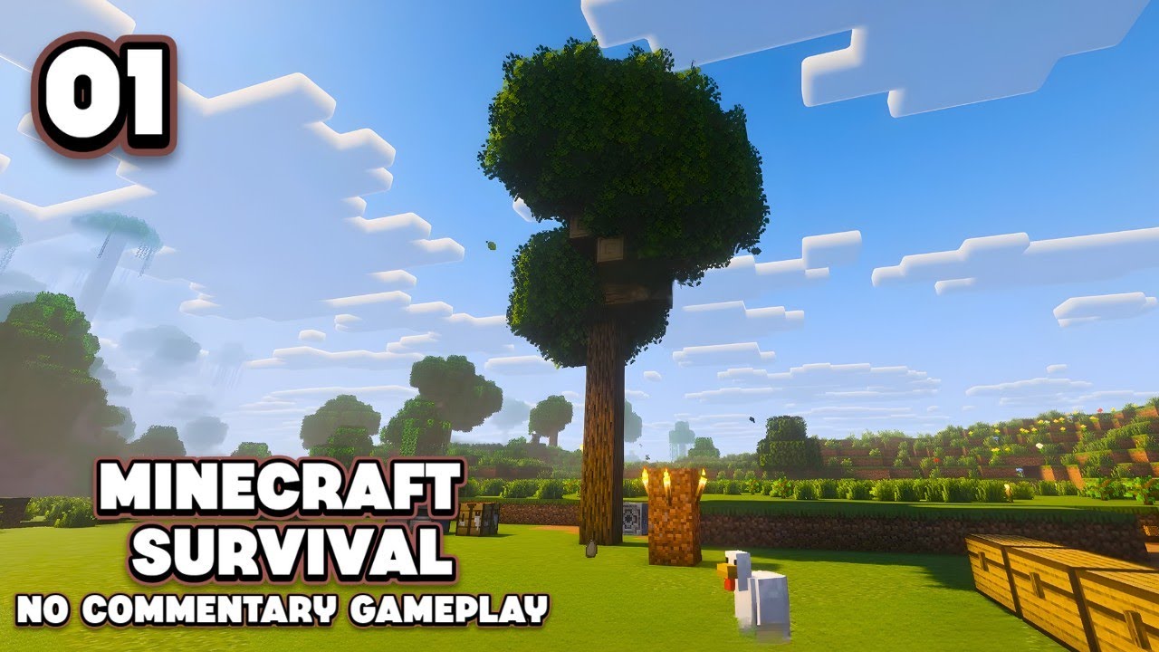 Starting Fresh in Minecraft Java | Episode 1 | No Commentary