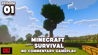 Minecraft Java | PART 1 | No Commentary