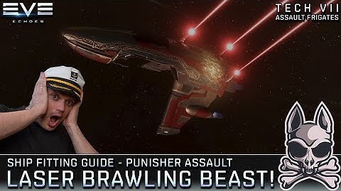 The PUNISHER ASSAULT!! A Mini Succubus?? || EVE Echoes