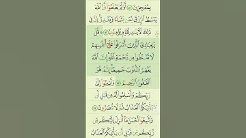 آيات من القرآن الكريم 💞 سورة الزمر 💞 الآية 53