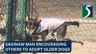 Saginaw man encouraging others to adopt older dogs