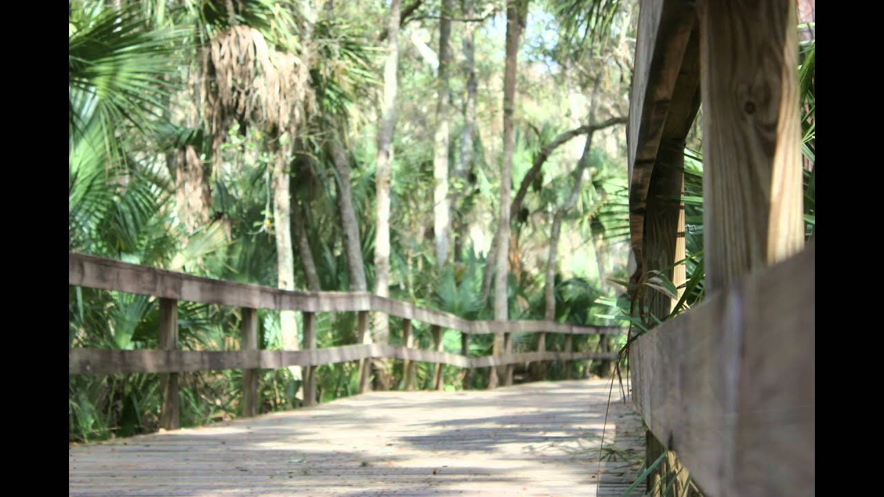 Central Florida Zoo Sanford, Florida **LOOK** YouTube