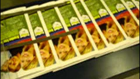 BOURG NEW STYLE BST-d TWIN TOWER COLLATOR BOOKLETMAKER TEST RUN