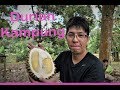 Durian Kampung Malaysia | Durian Taste Test