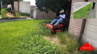 Crazy Overgrown Yard Transformation (really messy)