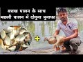 Duck Farming + Fish Farming | Machli Aur Batak Palan | Duck and Fish Farming | Khaki Campbell