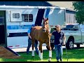 Monomoy girl arrives at spendthrift farm