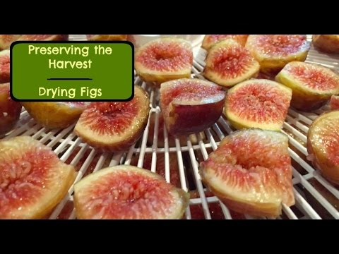 Video: How To Dry Figs