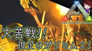 恐竜の卵大好き 卵泥棒 オヴィラプトル君をテイム Ark 009 Smotret Video Onlajn 116okon Ru