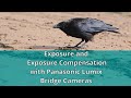 Exposure and exposure compensation in panasonic bridge cameras