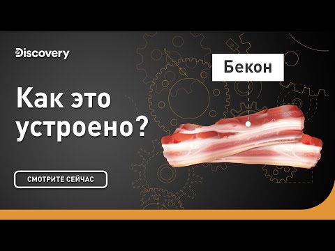 Бекон | Как это устроено? | Discovery