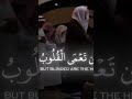 افلم يسيروا في الارض فتكون لهم قلوب يعقلون بها الشيخ ياسر الدوسري