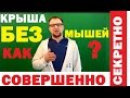 Крыша без мышей. Совершенно секретно! Стройхлам