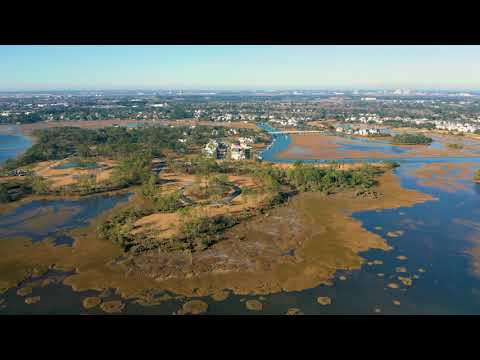 262 Captain Goddard Road, Daniel Island, SC home video tour