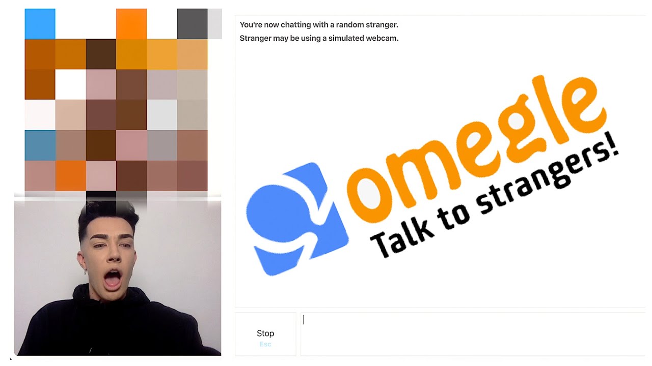 adult chat like omegle