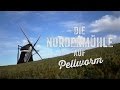 Die Nordermühle auf Pellworm aus der Luft