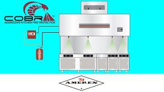 Amerex Cobra Kitchen Protection