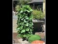 GreenStalk Vertical Garden