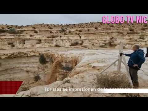 Video: Desierto floreciente de Negev en Israel