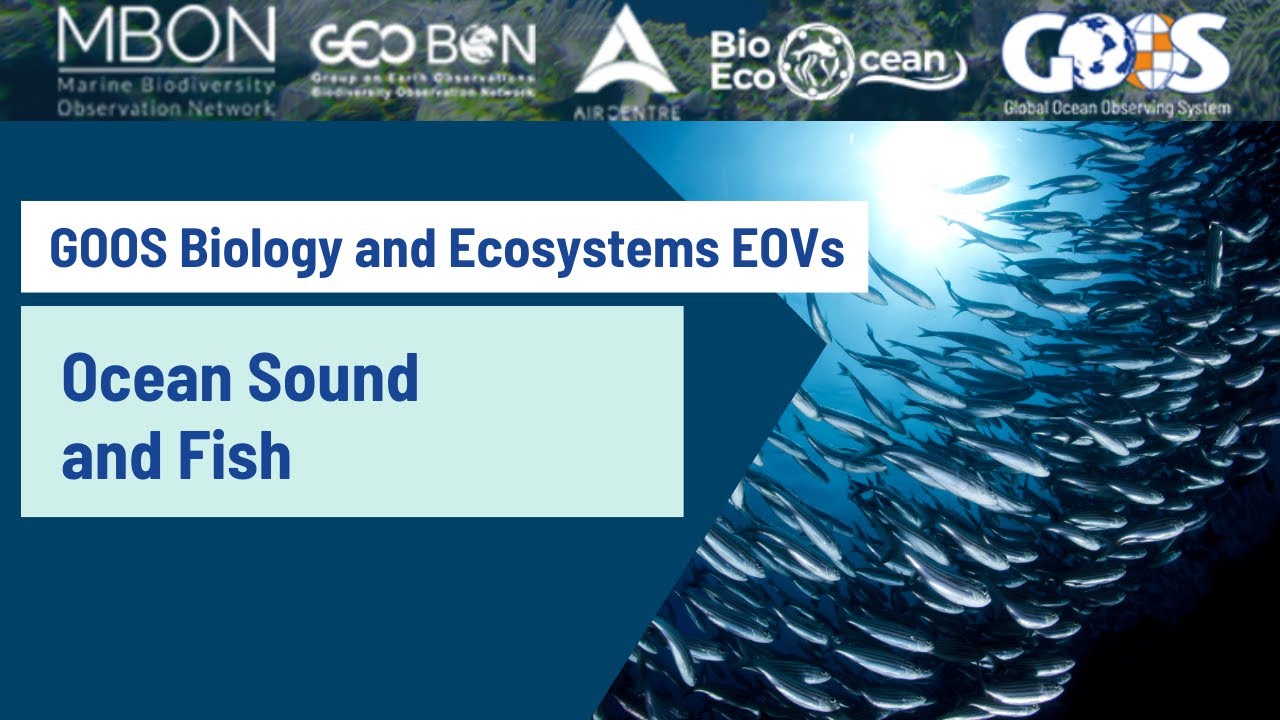 Webinar: GOOS Ocean Sound and Fish Essential Ocean Variables