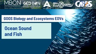 Webinar: GOOS Ocean Sound and Fish Essential Ocean Variables
