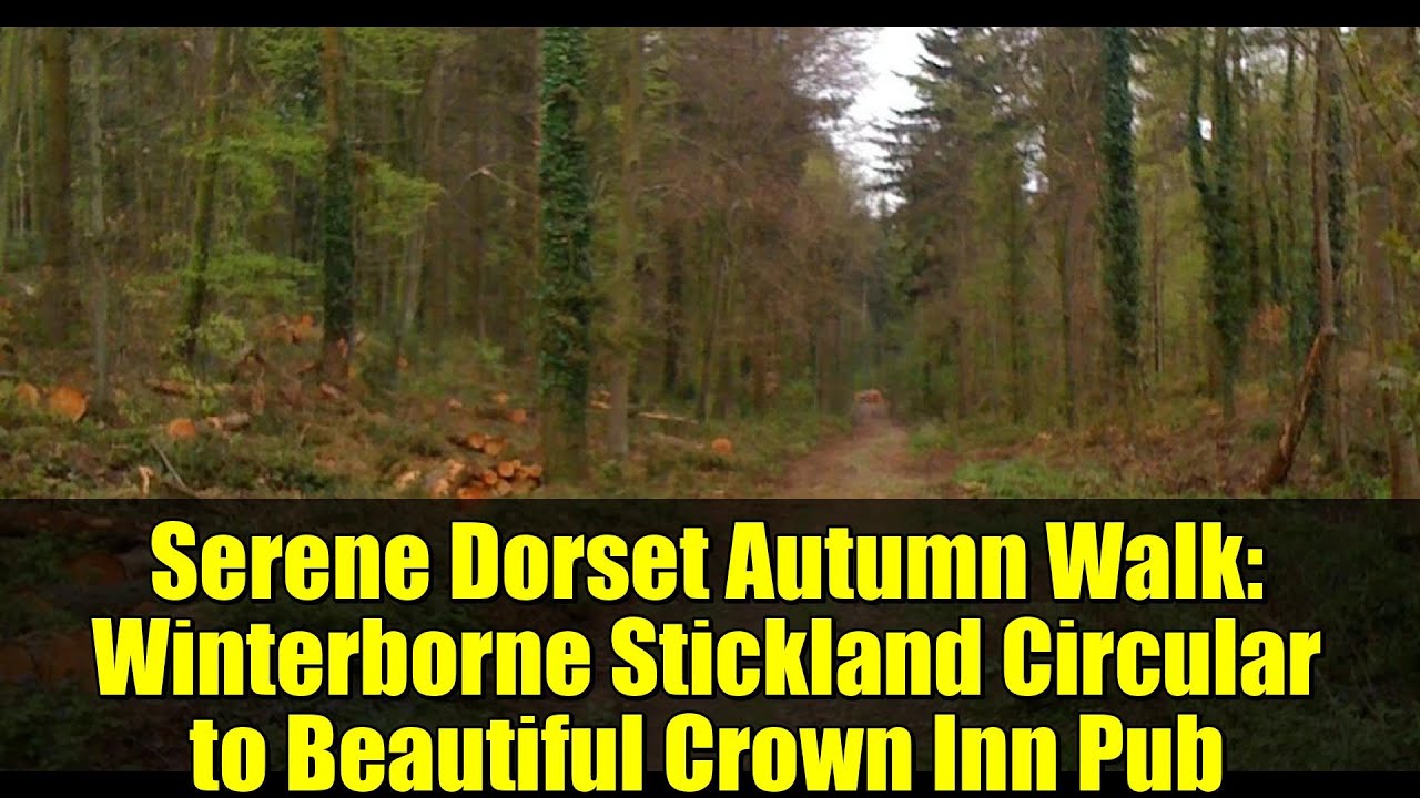 Serene Dorset Autumn Walk: Winterborne Stickland Circular to Beautiful Crown Inn Pub