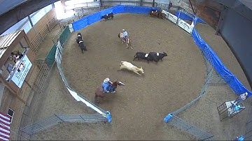 Big Sky Ranch Sorting Saddle Series #4 - YOUTH RANCH HAND - Round #1 - Ride #37