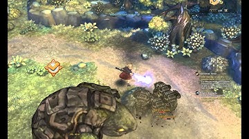 Tree of Savior Closed Beta Wizard