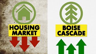 Is Boise Cascade a hidden gem stock | BCC Stock Analysis
