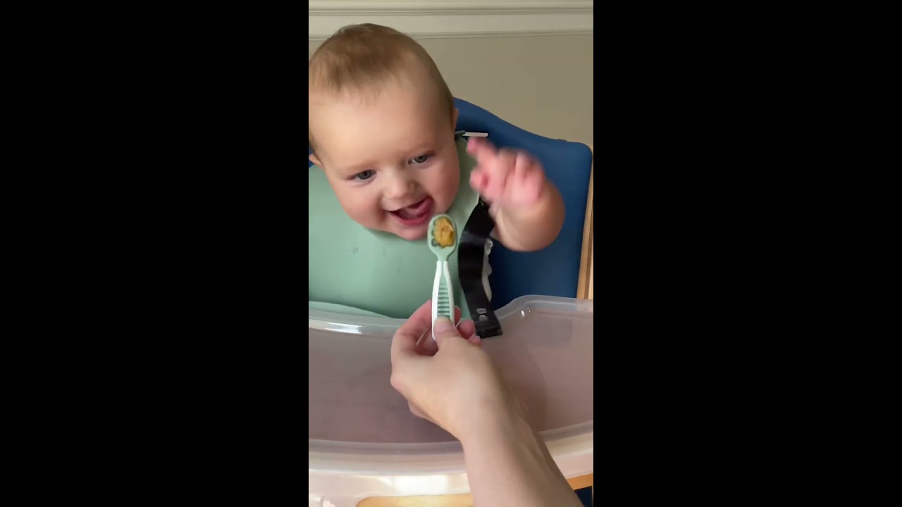 The Best Baby Led Weaning Utensils Momsoftiktok Babyledweaning Babyfood Shorts