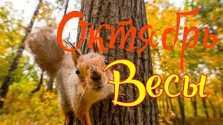 ВЕСЫ. ОКТЯБРЬ 2019. ТАРО-ПРОГНОЗ. ВЕСЫ. ОКТЯБРЬ 2019. ТАРО-ПРОГНОЗ.