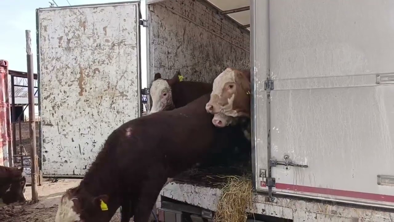 16 февраля 2026 г.