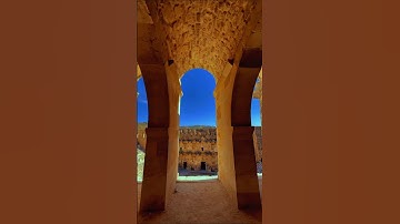 فانظر الى اثار رحمه الله كيف يحيي الارض بعد موتها سوره الروم ياسر الدوسري #قرآن #اكسبلور #لايك