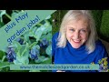 May garden tour - plus some garden jobs for May!