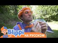 Блиппи идет в поход | Изучай этот мир вместе с Блиппи | Обучающие видео для детей | Blippi Russian