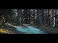 The Forest || Cinematic