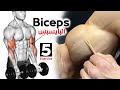 How To Build Your Biceps Fast (5 Effective Exercises)-تمارين البايسبس