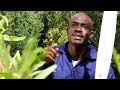 Zion Iskhalanga Academy - U Muchaveleri (Official Music Video)