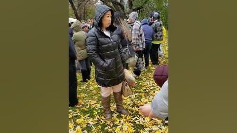 Lwm  tsiab peb caug nyob usa