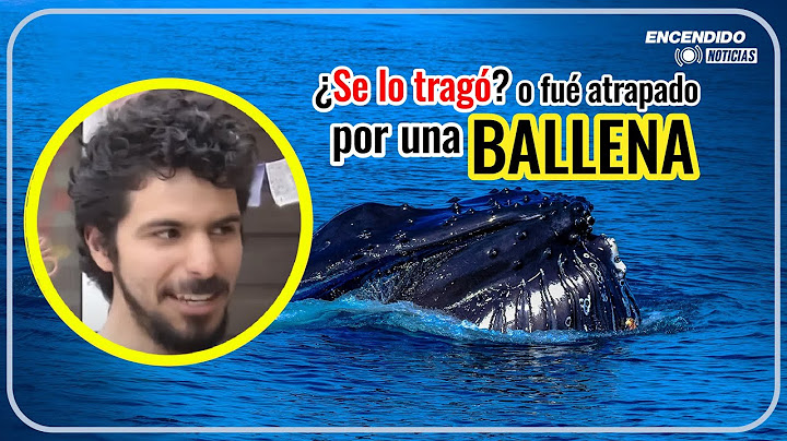 Ballena traga a un hombre y lo escupe en el Estrecho de Magallanes 😱🌊