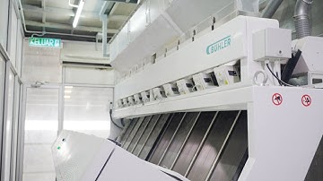 DS-C optical sorter at Bernas Malaysia