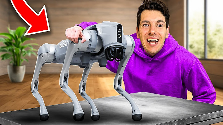 KUPIŁEM PIERWSZEGO W POLSCE PSA ROBOTA!
