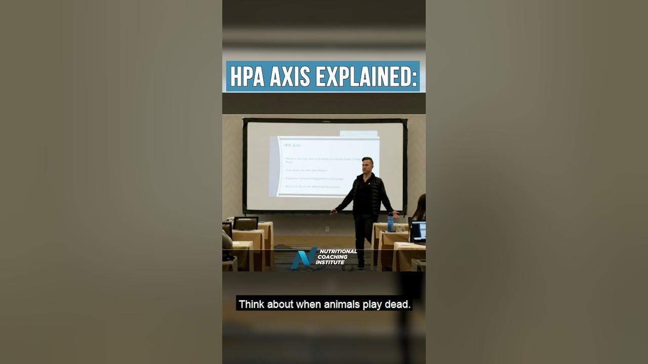 HPA Axis Explained For A Nutrition Coach Shorts YouTube
