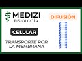Fisiología Celular - Transporte membrana celular (DIFUSIÓN Y TRANSPORTE ACTIVO)