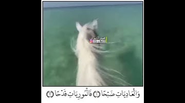 والعاديات ضبحا.. سبحان الله العظيم ❤️ تلاوة تريح قلبك وسمعك  ❤️🎧  | القارئ سعيد القاضي