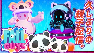 【久々に家族登場！】親子で挑むFallguys【髭熊猫】【ちぃパンダ】