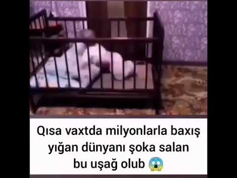 Maraqlı Faktlar. Dünyanı heyran edən uşaq.#shorts