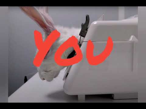 STOP ANIMAL TESTING!!!!!! 